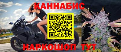 spice Моздок