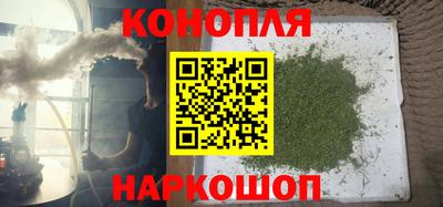 spice Моздок