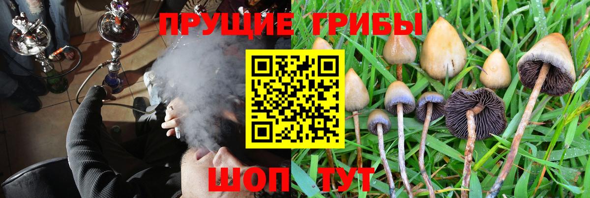 Фурманов  Галлюциногенные грибы Psilocybe  Вход с VPN  Псилоцибиновые грибы мухоморы 