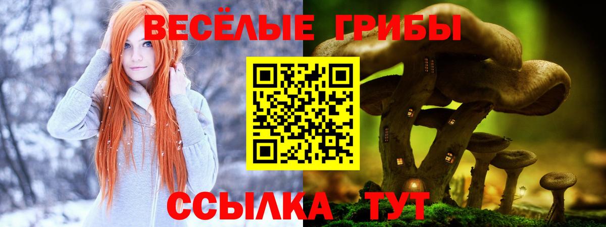 Галлюциногенные грибы мицелий Фурманов